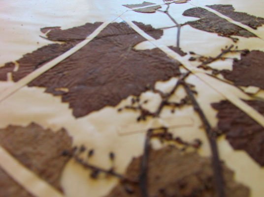 Colaboración con la Universidad Complutense de Madrid