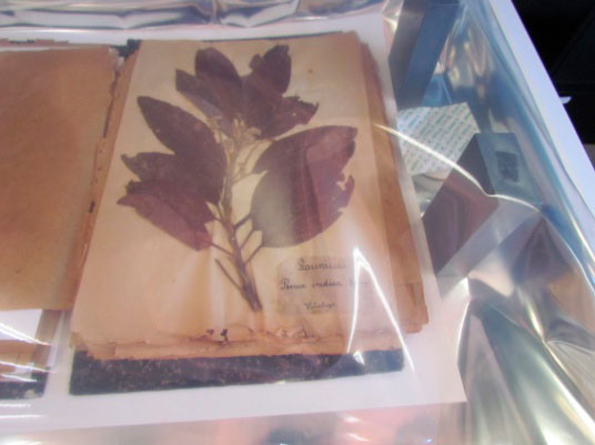 Colaboración con la Universidad Complutense de Madrid